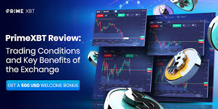 Experience the Thrills of Live Trading at PrimeXBT Experience the Thrills of Live Trading at PrimeXBT
