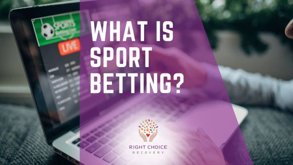 Understanding Betting How to Use Odds Calculators Effectively Understanding Betting How to Use Odds Calculators Effectively