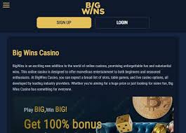 BigWins Gambling Establishment: Player Rankings & Our Judgment
